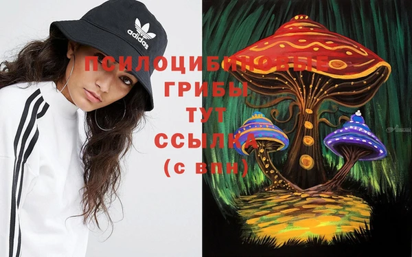 ECSTASY Аркадак