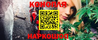 сатива Коммунар