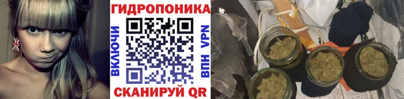 Бошки марихуана THC 21% ссылка на мегу ССЫЛКА Кировск